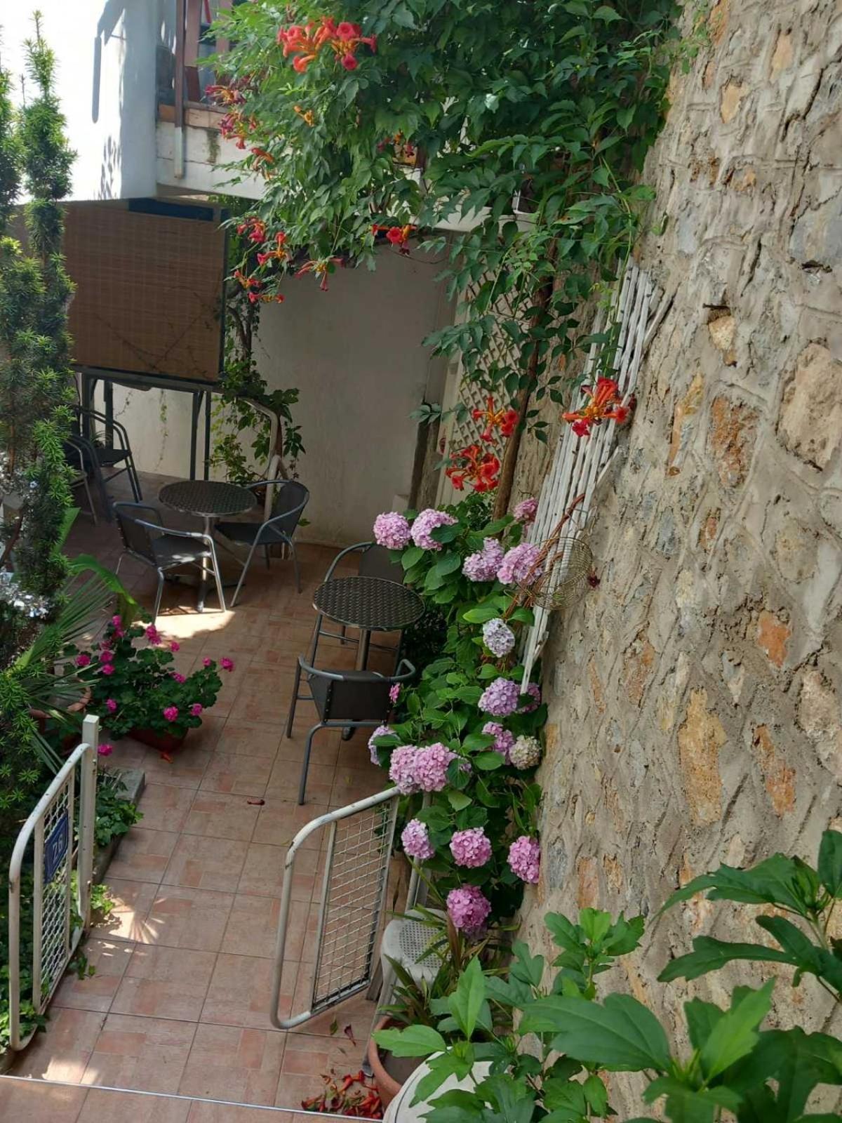 Vila Kosta City Center Port Ohrid Eksteriør bilde