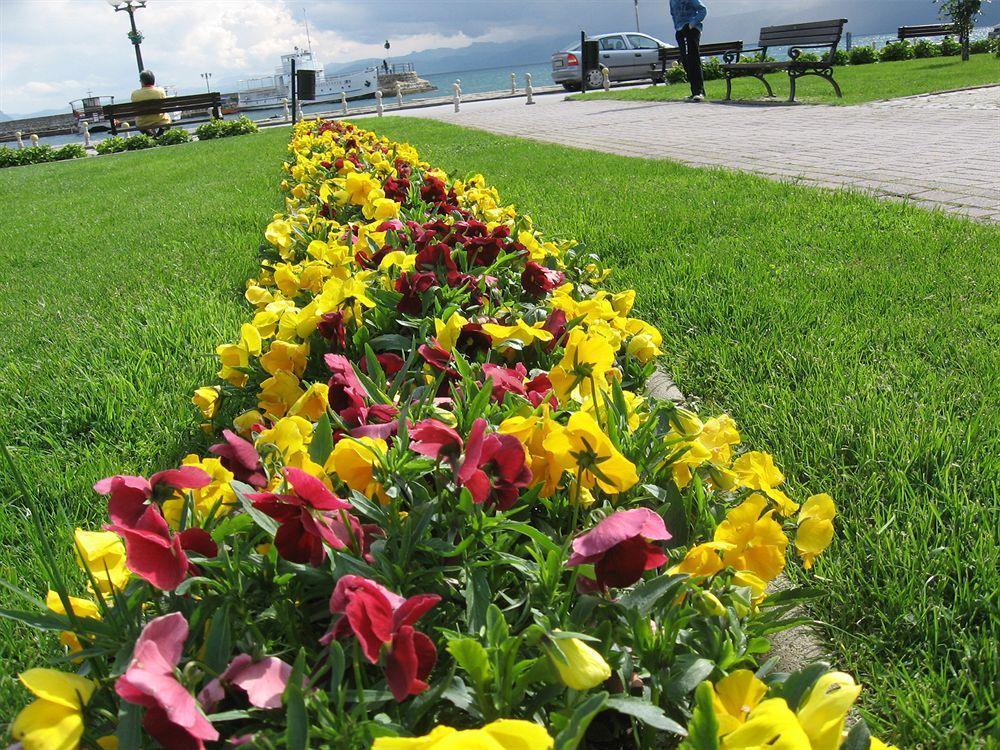 Vila Kosta City Center Port Ohrid Eksteriør bilde
